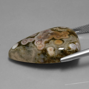 Jaspe multicolore naturelle trillion, 39,82 ct, opaque