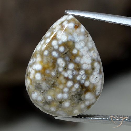 23.63ct Naturel Multicolore Jaspe, En forme de poire, Opaque