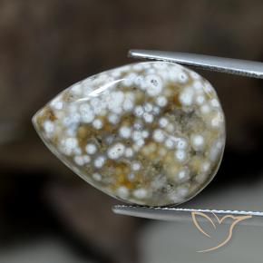 Jaspe Multicolore naturelle En forme de poire, 23.63 ct, Opaque