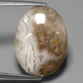 Jaspe multicolore naturelle transparent, 14,72 ct, transparent / translucide