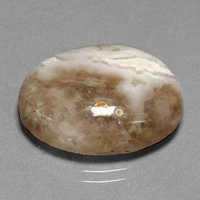 Jaspe multicolore naturelle transparent, 14,72 ct, transparent / translucide