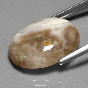 Jaspe multicolore naturelle transparent, 14,72 ct, transparent / translucide