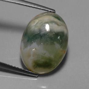 Jaspe multicolore naturelle transparent, 9,17 ct, transparent / translucide