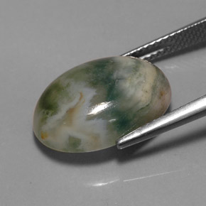 Jaspe multicolore naturelle transparent, 9,17 ct, transparent / translucide