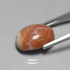 Jaspe Multicolore naturelle Coupe ovale, 9.66 ct, Opaque