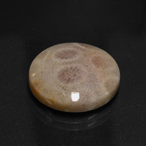 Jaspe multicolore naturelle coupe roude, 12,45 ct, opaque