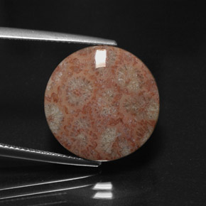 Jaspe multicolore naturelle coupe roude, 11,73 ct, opaque