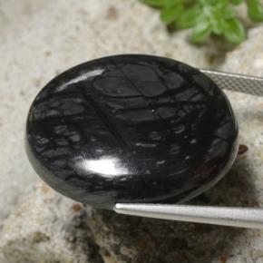 Jaspe noir naturelle coupe roude, 32,19 ct, opaque