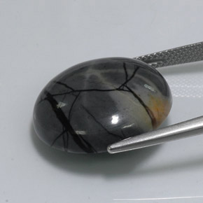 Jaspe multicolore naturelle coupe roude, 18,77 ct, opaque