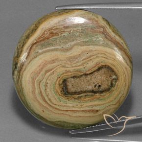 Jaspe Multicolore naturelle Tour, 48.59 ct, Opaque