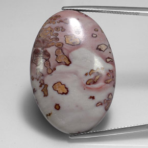 Jaspe multicolore naturelle coupe ovale, 32,70 ct, opaque