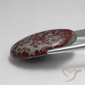 Jaspe Multicolore naturelle ovale, 39.35 ct, Opaque