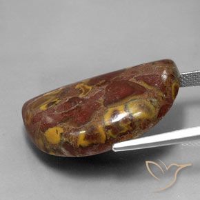 Jaspe Multicolore naturelle Fantaisie, 27.40 ct, Opaque