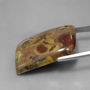 Jaspe Multicolore naturelle Forme fantaisie, 34.76 ct, Opaque