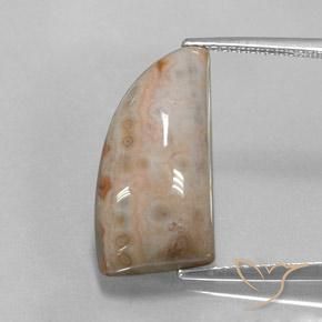 12.74ct Naturel Multicolore Jaspe, Fantaisie, Opaque