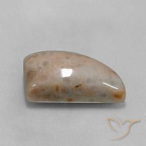 Jaspe Multicolore naturelle Fantaisie, 12.74 ct, Opaque