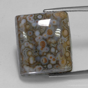 Jaspe multicolore naturelle carré, 23,65 ct, opaque
