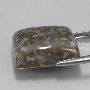 Jaspe multicolore naturelle carré, 23,65 ct, opaque
