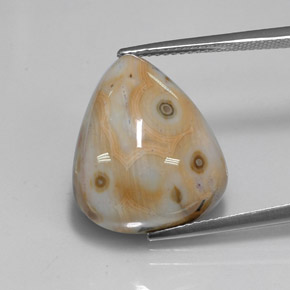 Jaspe multicolore naturelle en forme de poire, 15,02 ct, opaque