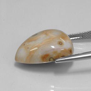 Jaspe multicolore naturelle en forme de poire, 15,02 ct, opaque