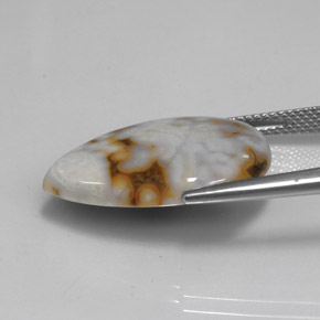 Jaspe multicolore naturelle en forme de poire, 11,87 ct, opaque