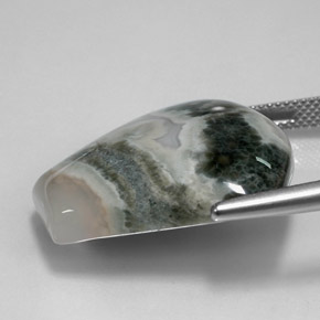 Jaspe Multicolore naturelle Forme fantaisie, 29.53 ct, Opaque