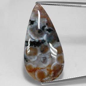 Jaspe multicolore naturelle en forme de poire, 22,85 ct, translucide