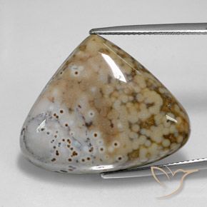 Jaspe Multicolore naturelle En forme de poire, 29.24 ct, Opaque