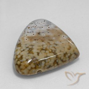 Jaspe Multicolore naturelle En forme de poire, 29.24 ct, Opaque