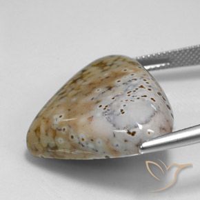 Jaspe Multicolore naturelle En forme de poire, 29.24 ct, Opaque