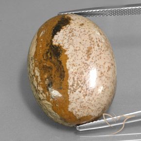 34.16ct Naturel Multicolore Jaspe, ovale, Opaque