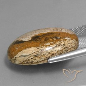 Jaspe Multicolore naturelle ovale, 34.16 ct, Opaque