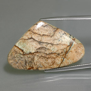 Jaspe multicolore naturelle en forme de poire, 18,86 ct, opaque