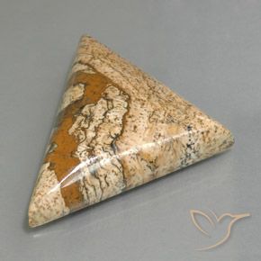 Jaspe Multicolore naturelle Trillion, 53.88 ct, Opaque