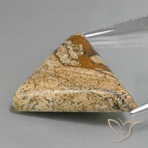 Jaspe Multicolore naturelle Trillion, 53.88 ct, Opaque