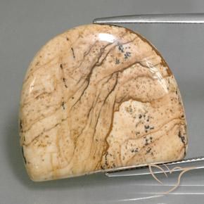 33.01ct Naturel Multicolore Jaspe, Fantaisie, Opaque