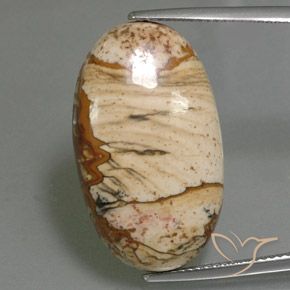 18.14ct Naturel Multicolore Jaspe, ovale, Opaque