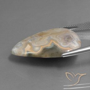 Jaspe Multicolore naturelle En forme de poire, 34.07 ct, Opaque