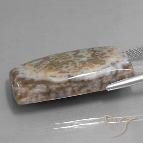 Jaspe Multicolore naturelle Baquette, 58.74 ct, Opaque