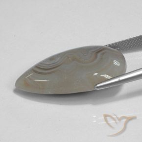 Jaspe Multicolore naturelle En forme de poire, 26.74 ct, Opaque
