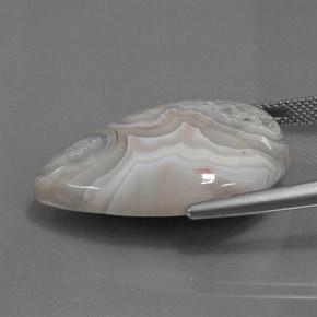 Jaspe multicolore naturelle en forme de poire, 23,01 ct, opaque
