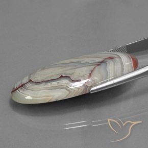 Jaspe Multicolore naturelle ovale, 43.89 ct, Opaque