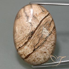 40.47ct Naturel Multicolore Jaspe, ovale, Opaque