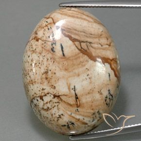 44.54ct Naturel Multicolore Jaspe, ovale, Opaque