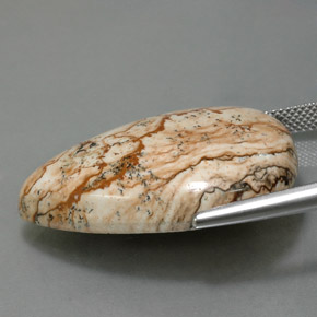 Jaspe Multicolore naturelle En forme de poire, 38.83 ct, Opaque