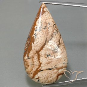 43.77ct Naturel Multicolore Jaspe, En forme de poire, Opaque