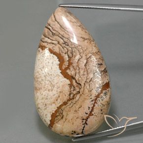 73.69ct Naturel Multicolore Jaspe, En forme de poire, Opaque