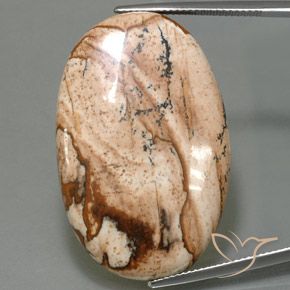40.77ct Naturel Multicolore Jaspe, ovale, Opaque