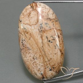 49.05ct Naturel Multicolore Jaspe, ovale, Opaque