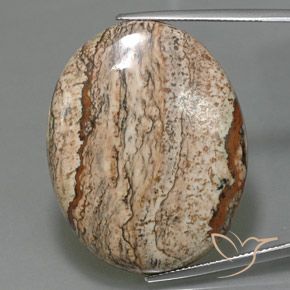 49.58ct Naturel Multicolore Jaspe, ovale, Opaque